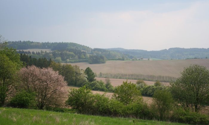 Výlety v okolí Prahy