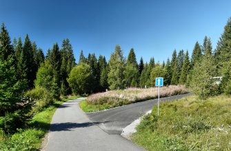 Šumava