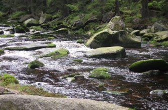 Šumava koryto řeky