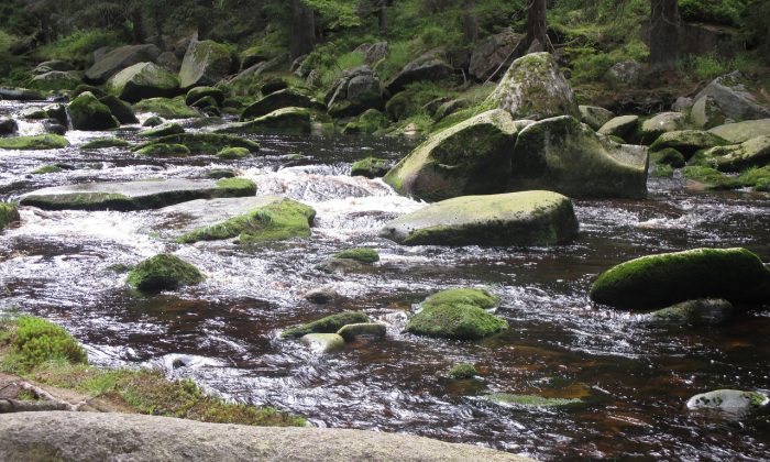 Šumava koryto řeky