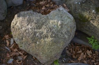Skály