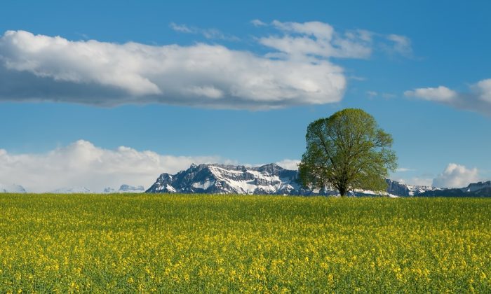 Engelberg