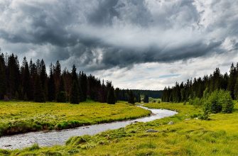 Šumava