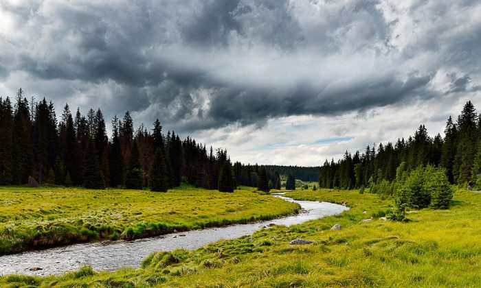 Šumava