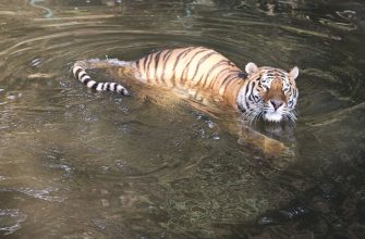 Zoo Plzeň