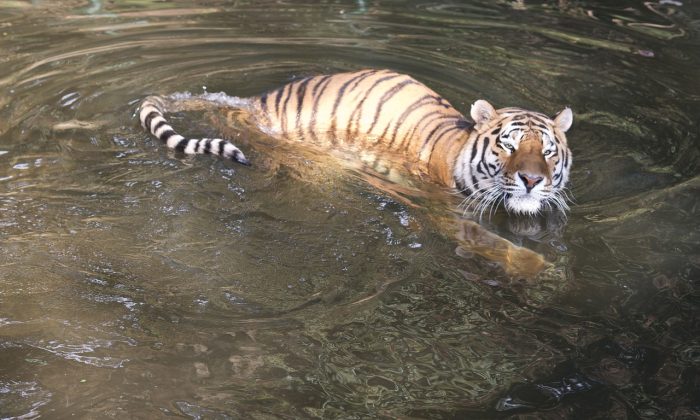 Zoo Plzeň