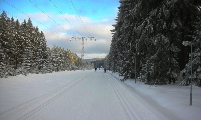 Běžky