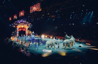 Cirkus