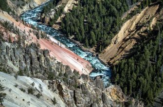 Yellowstone