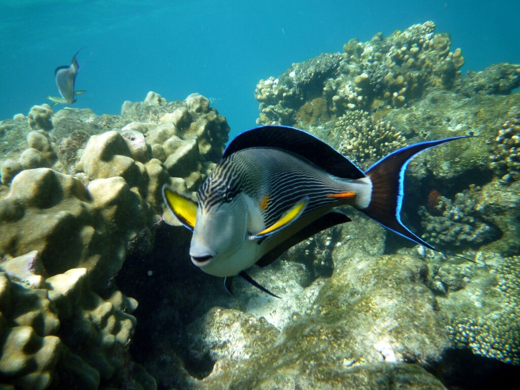 Marsa Alam