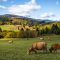 Slovensko