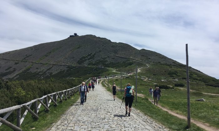 Cesta na vrchol Sněžky