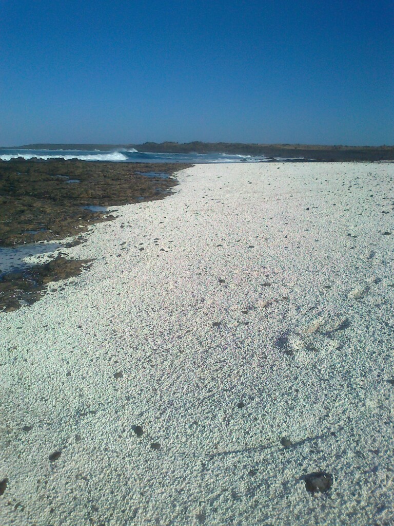 Punta Lala Beach