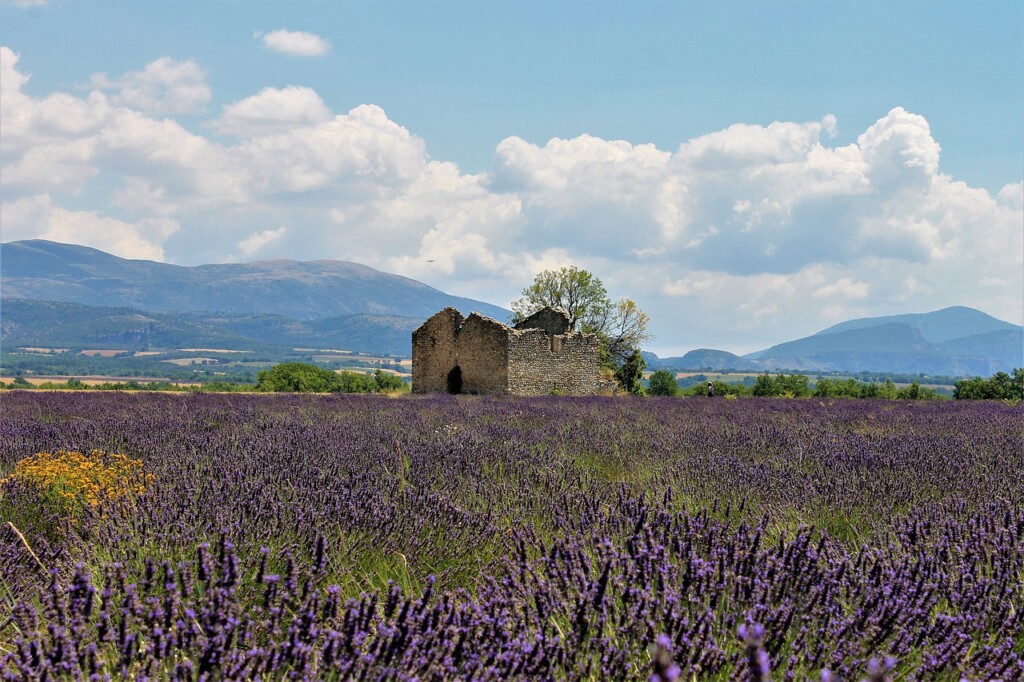 Provence