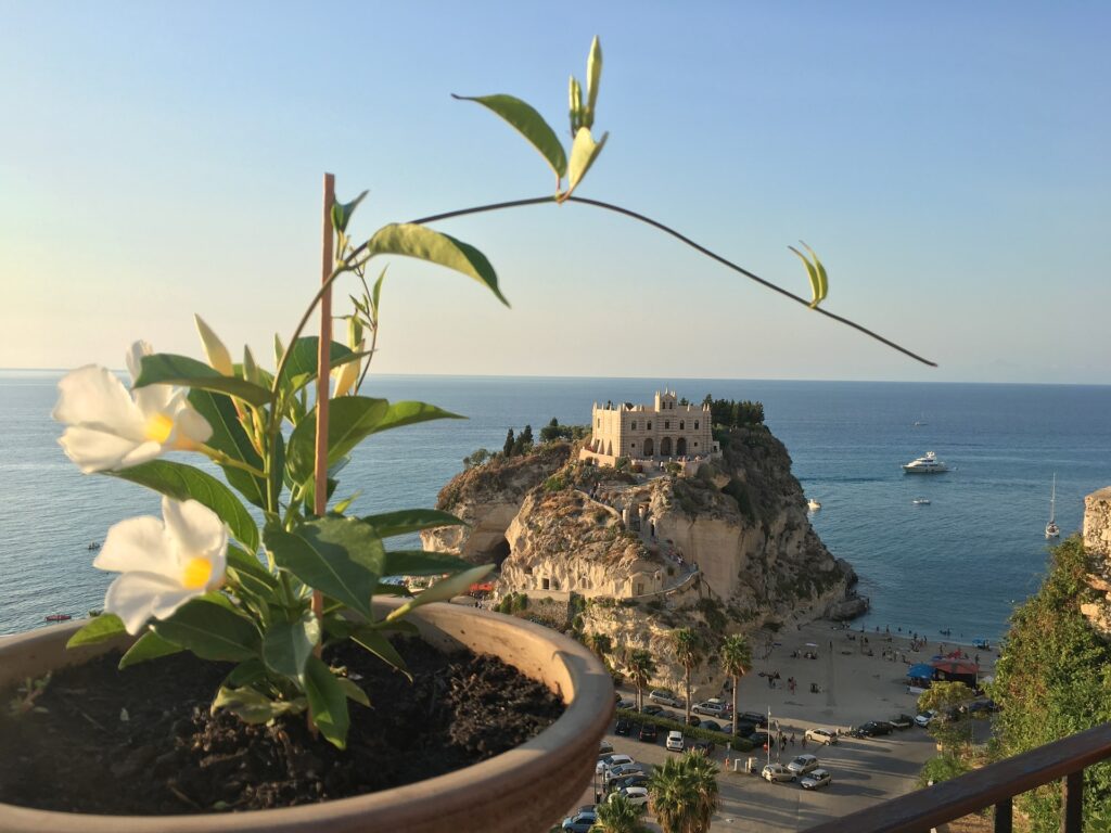 02_Tropea