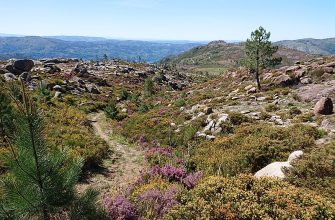 peneda-gerês