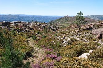 peneda-gerês