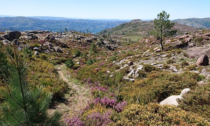 peneda-gerês