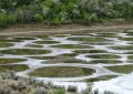 Spotted Lake