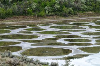 Spotted Lake