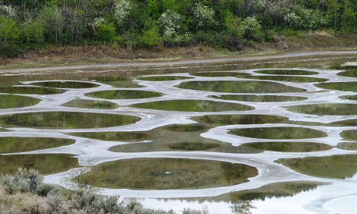 Spotted Lake