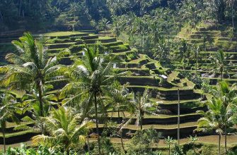 bali