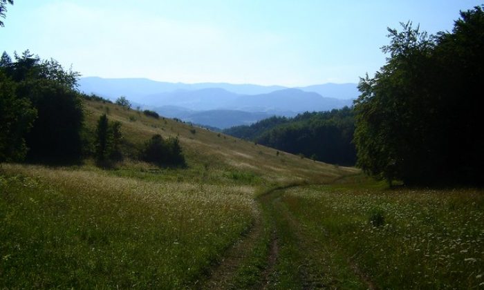 pohroní
