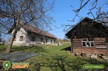 Chalupa s bazénem Střeleč - Mladějov - Český ráj