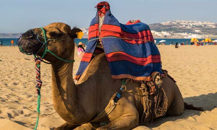 Egypt