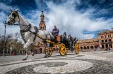 Sevilla koně Sevilla, Andalusie, palác Alcázar, Sevillská katedrála, Indický archiv