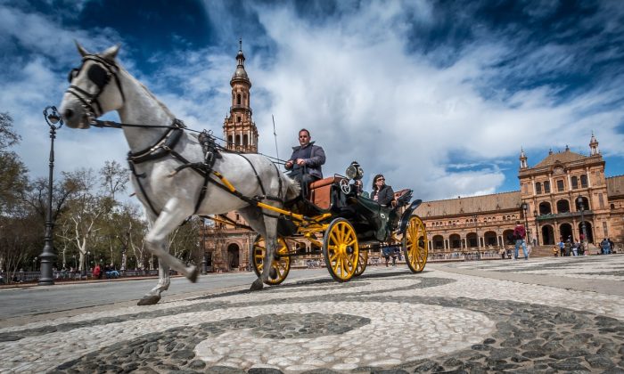 Sevilla koně Sevilla, Andalusie, palác Alcázar, Sevillská katedrála, Indický archiv
