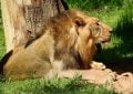 ZOO Praha
