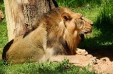 ZOO Praha