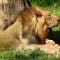 ZOO Praha