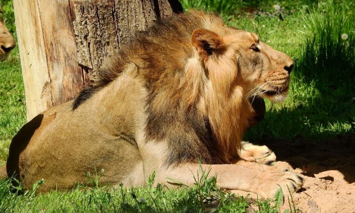 ZOO Praha