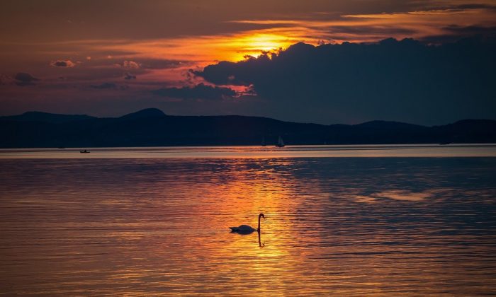 Balaton