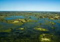 Okavango