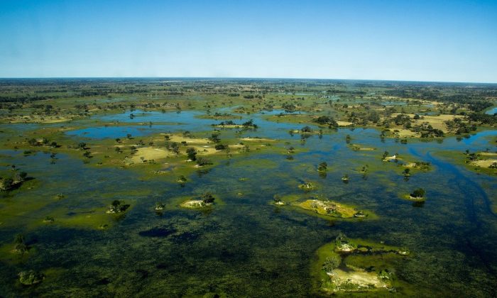 Okavango