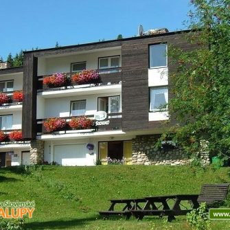 Apartmán u Sochorů - Pec pod Sněžkou