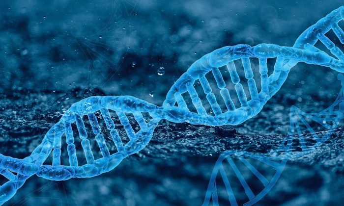 DNA