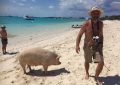 Pig Beach