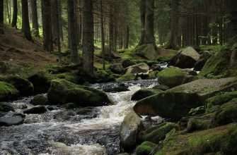 Šumava