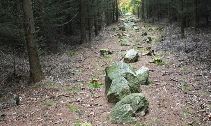 kounovské-kamenné-řady