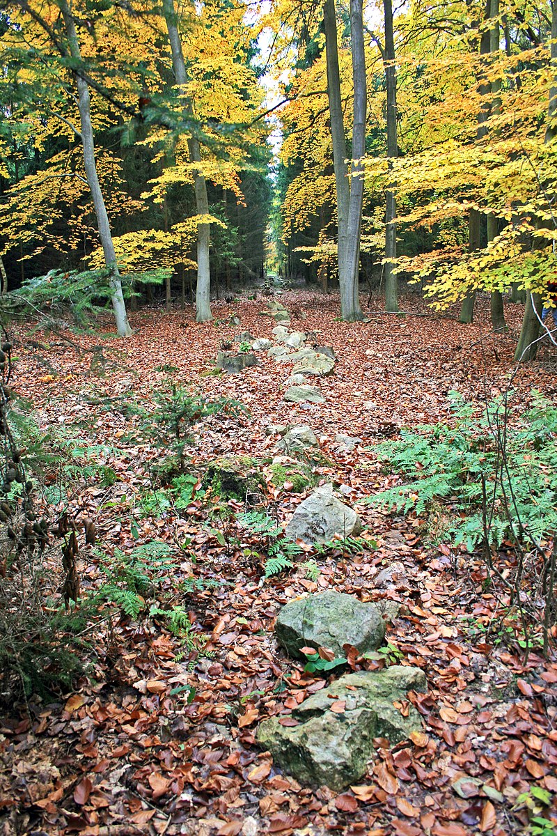 kamenné-řady-kounov