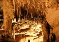 Mammoth_Cave_travertine_formation2