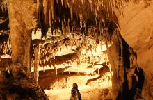 Mammoth_Cave_travertine_formation2