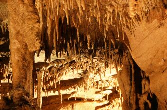 Mammoth_Cave_travertine_formation2