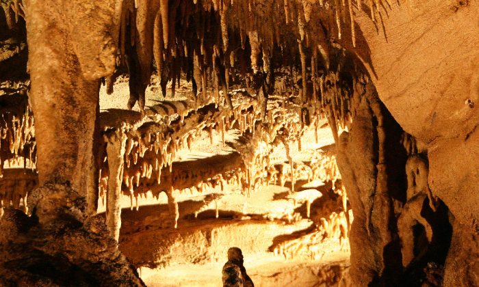 Mammoth_Cave_travertine_formation2