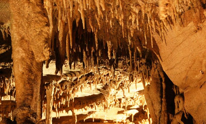 Mammoth_Cave_travertine_formation2