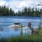 Štrbské pleso